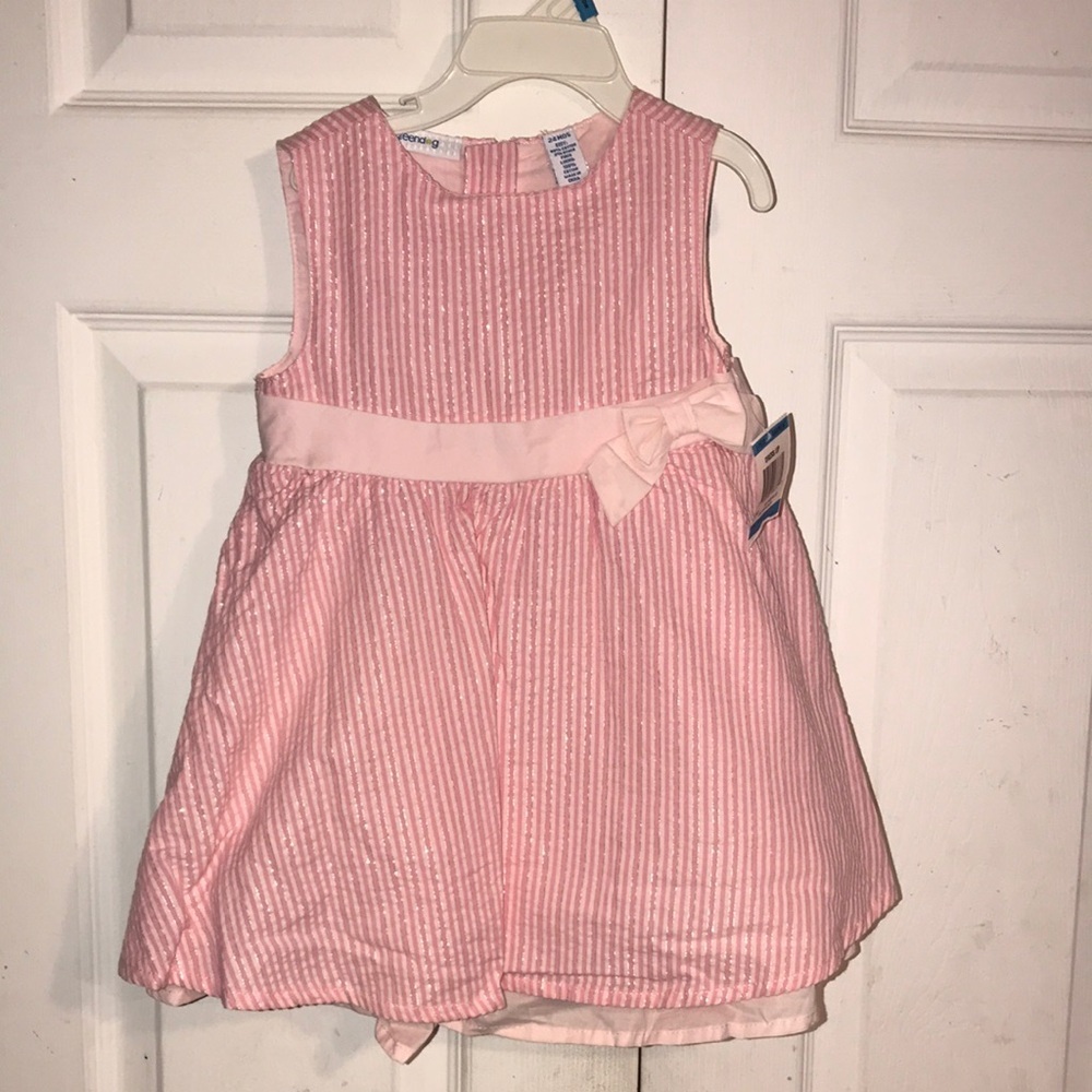 Girl’s NWT 2-pc Greendog Seersucker Dress Set